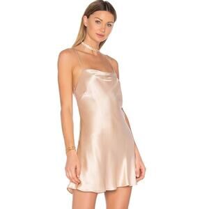 Backstage Naomi Dress in Mink NWT Size XS